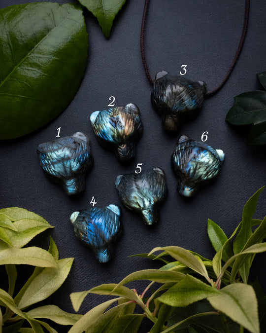 Labradorite Hand Carved Bear Necklace - The Healing Pear