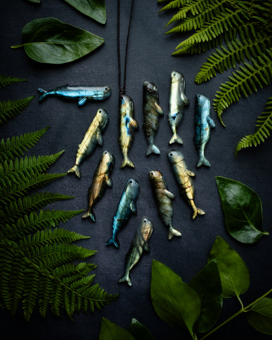 Labradorite Hand Carved Sperm Whale Necklace