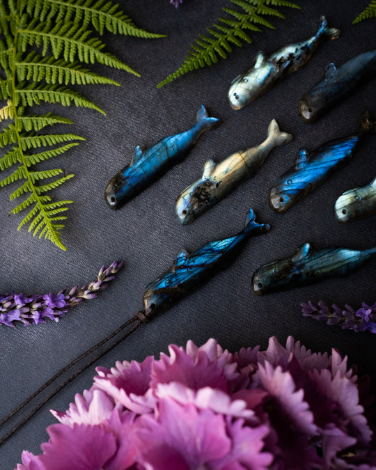 Labradorite Hand Carved Sperm Whale Necklace