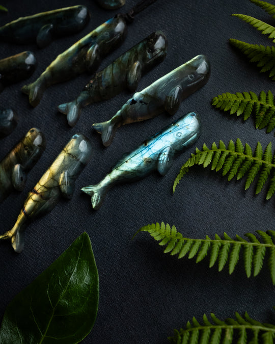 Labradorite Hand Carved Sperm Whale Necklace