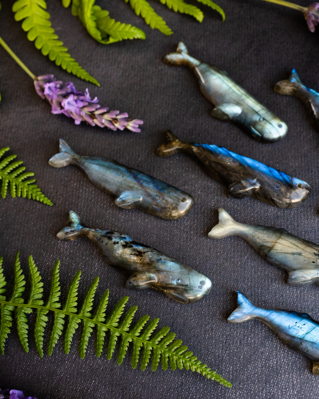 Labradorite Hand Carved Sperm Whale Necklace