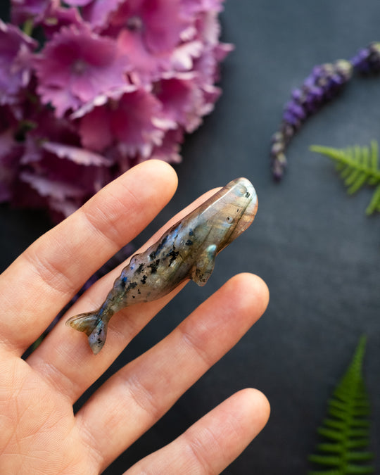 Labradorite Hand Carved Sperm Whale Necklace