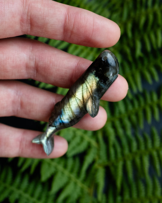 Labradorite Hand Carved Sperm Whale Necklace