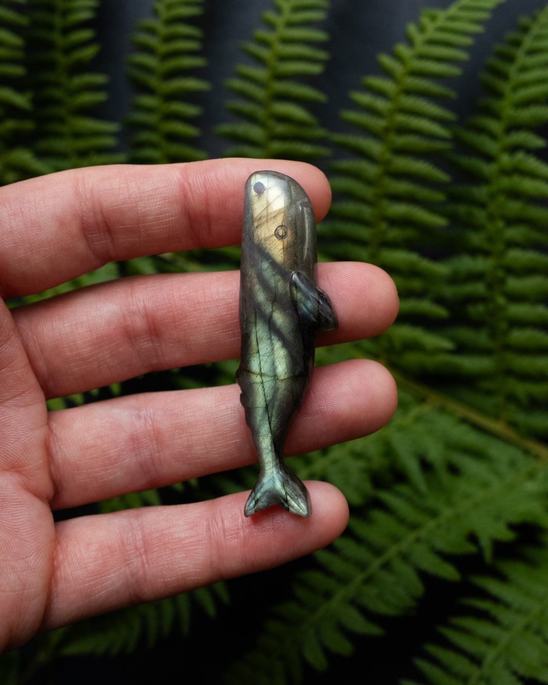 Labradorite Hand Carved Sperm Whale Necklace