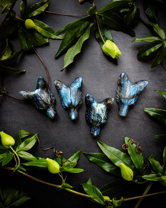 Large Labradorite Hand Carved Wolf Necklace