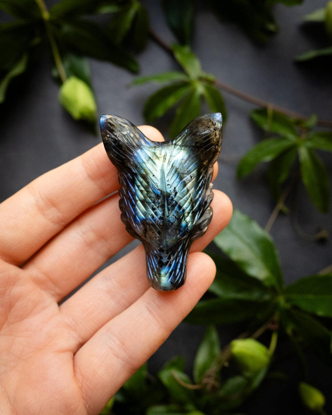 Large Labradorite Hand Carved Wolf Necklace