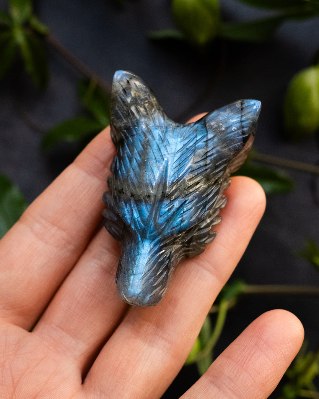 Large Labradorite Hand Carved Wolf Necklace