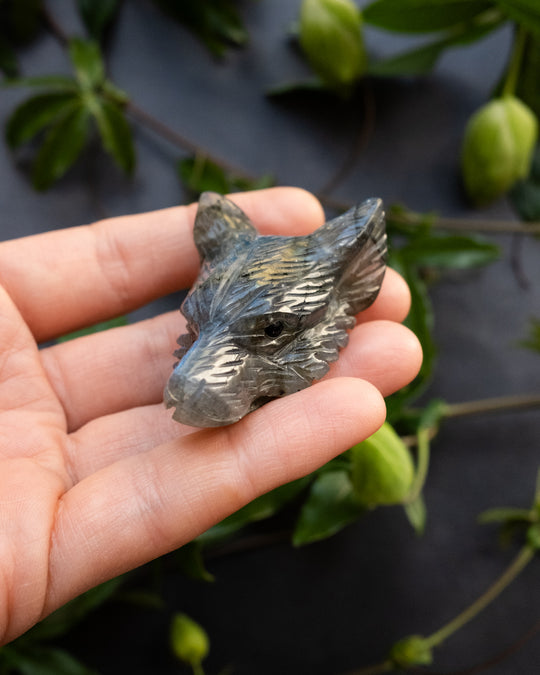 Large Labradorite Hand Carved Wolf Necklace