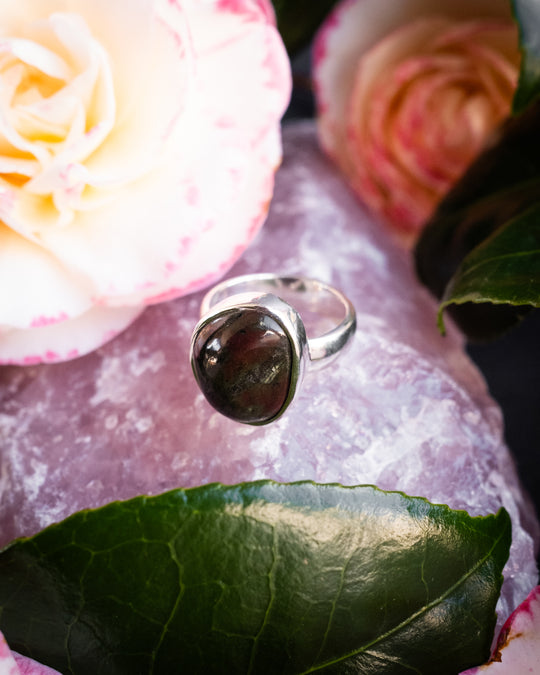 Cornish Lizard Serpentine Ring in Sterling Silver - Size 7 1/4 US / O 1/2 UK - The Healing Pear