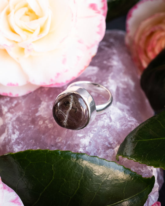 Cornish Lizard Serpentine Ring in Sterling Silver - Size 7 US / O UK - The Healing Pear