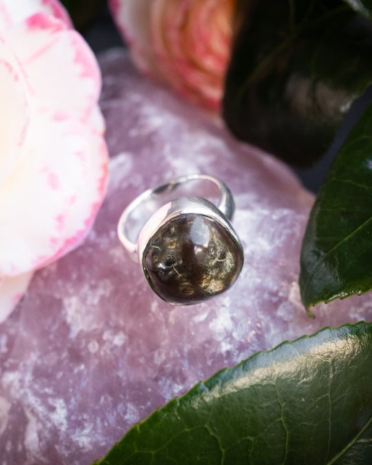 Cornish Lizard Serpentine Ring in Sterling Silver - Size 7 1/4 US / O 1/2 UK - The Healing Pear