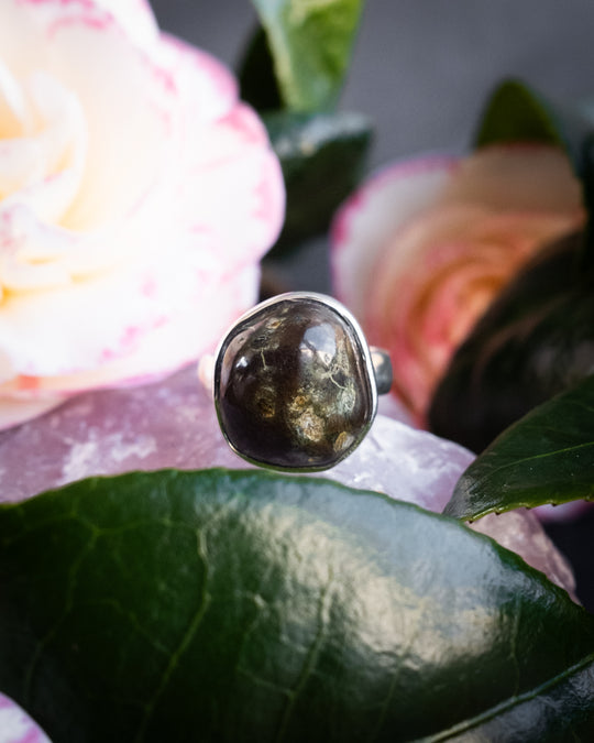 Cornish Lizard Serpentine Ring in Sterling Silver - Size 7 1/4 US / O 1/2 UK - The Healing Pear
