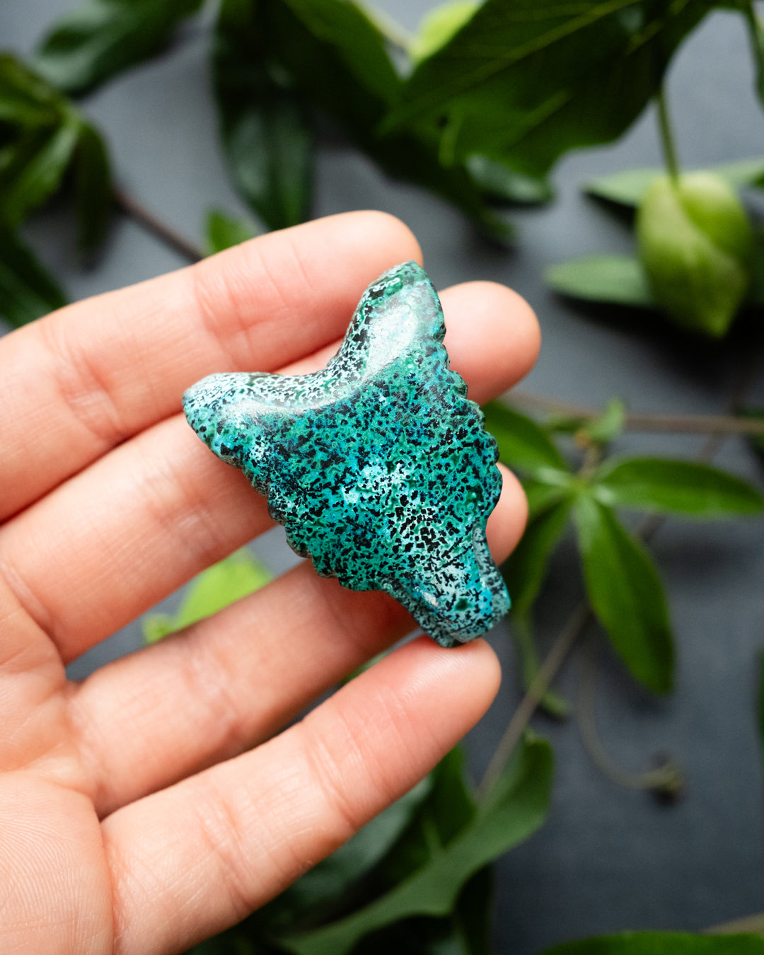 Rainbow Chrysocolla Hand Carved Wolf Necklace