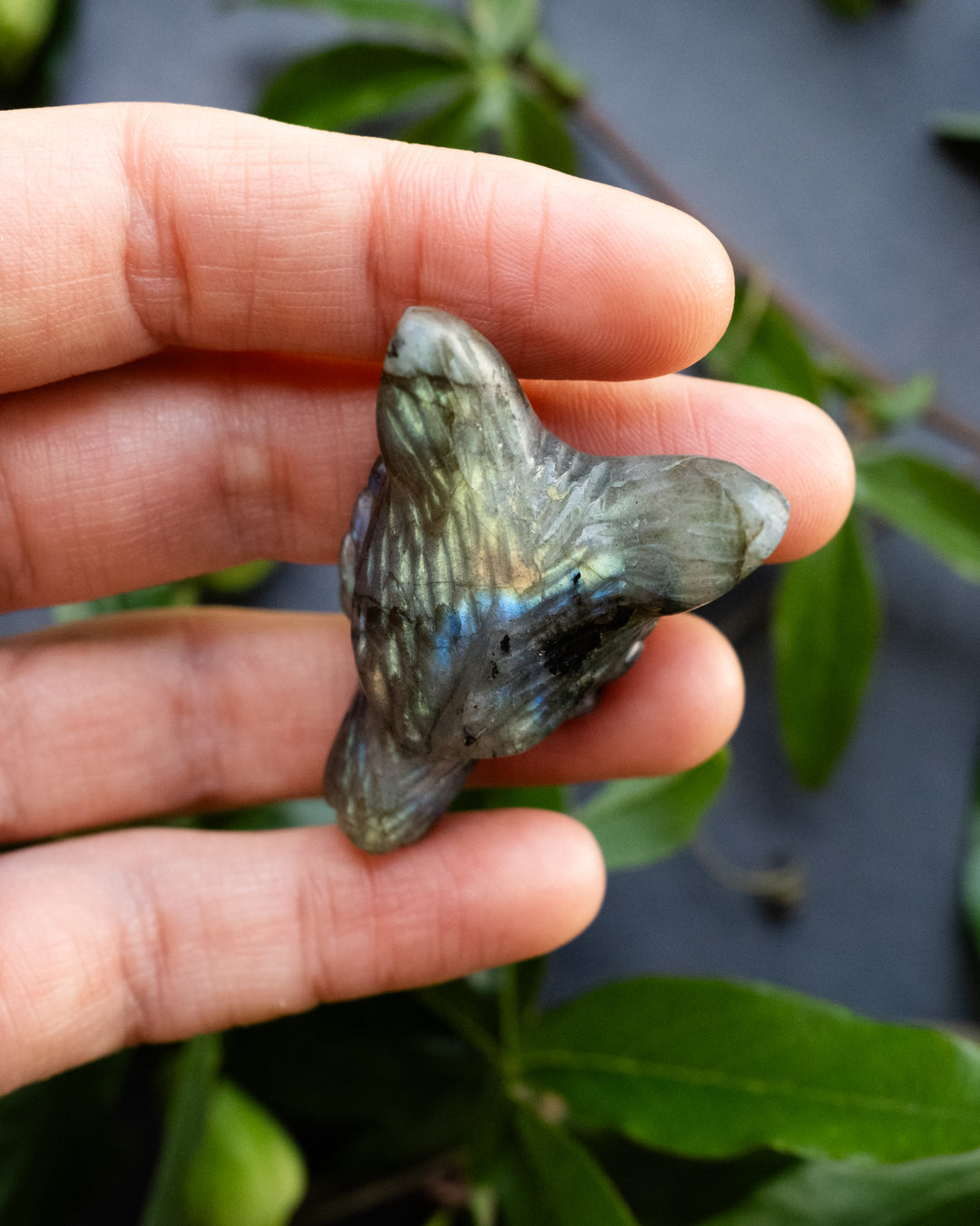 Labradorite Hand Carved Wolf Necklace