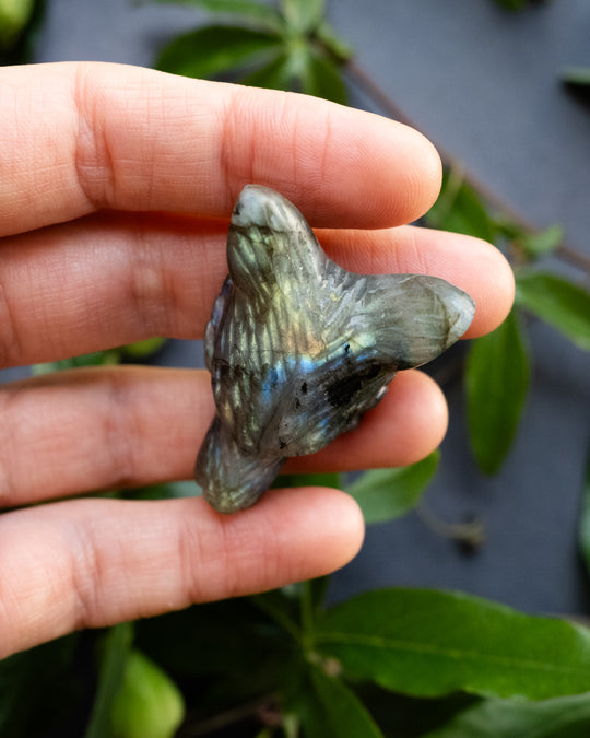 Labradorite Hand Carved Wolf Necklace