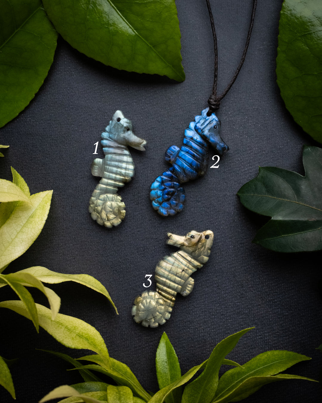 Labradorite Hand Carved Seahorse Necklace - The Healing Pear