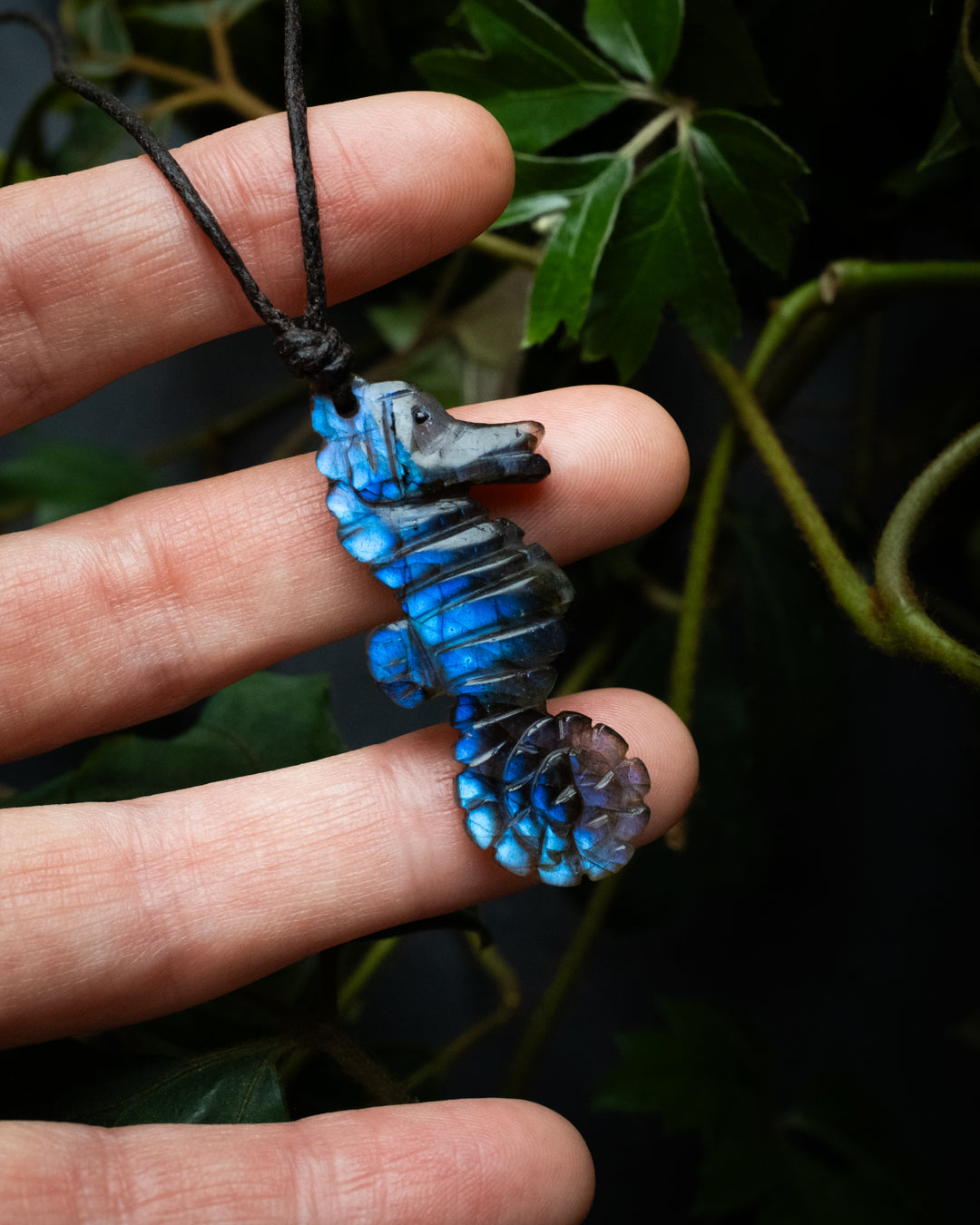 Labradorite Hand Carved Seahorse Necklace - The Healing Pear