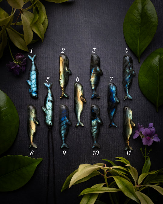 Labradorite Hand Carved Sperm Whale Necklace