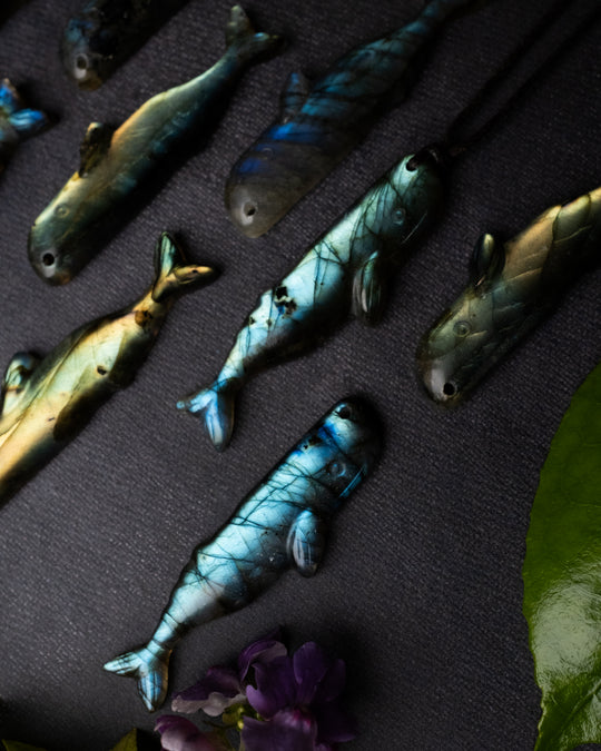 Labradorite Hand Carved Sperm Whale Necklace