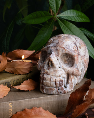 Crazy Lace Agate Druzy Ornamental Hand Carved Skull 888g