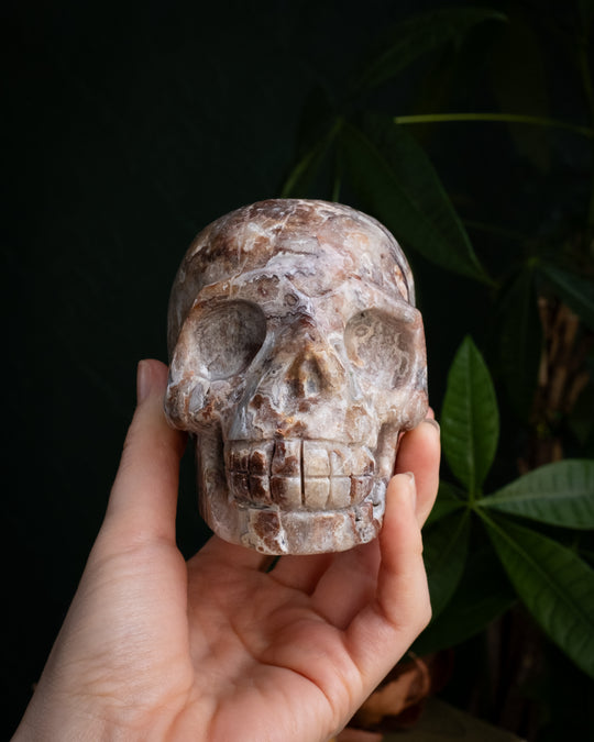 Crazy Lace Agate Druzy Ornamental Hand Carved Skull 888g - The Healing Pear