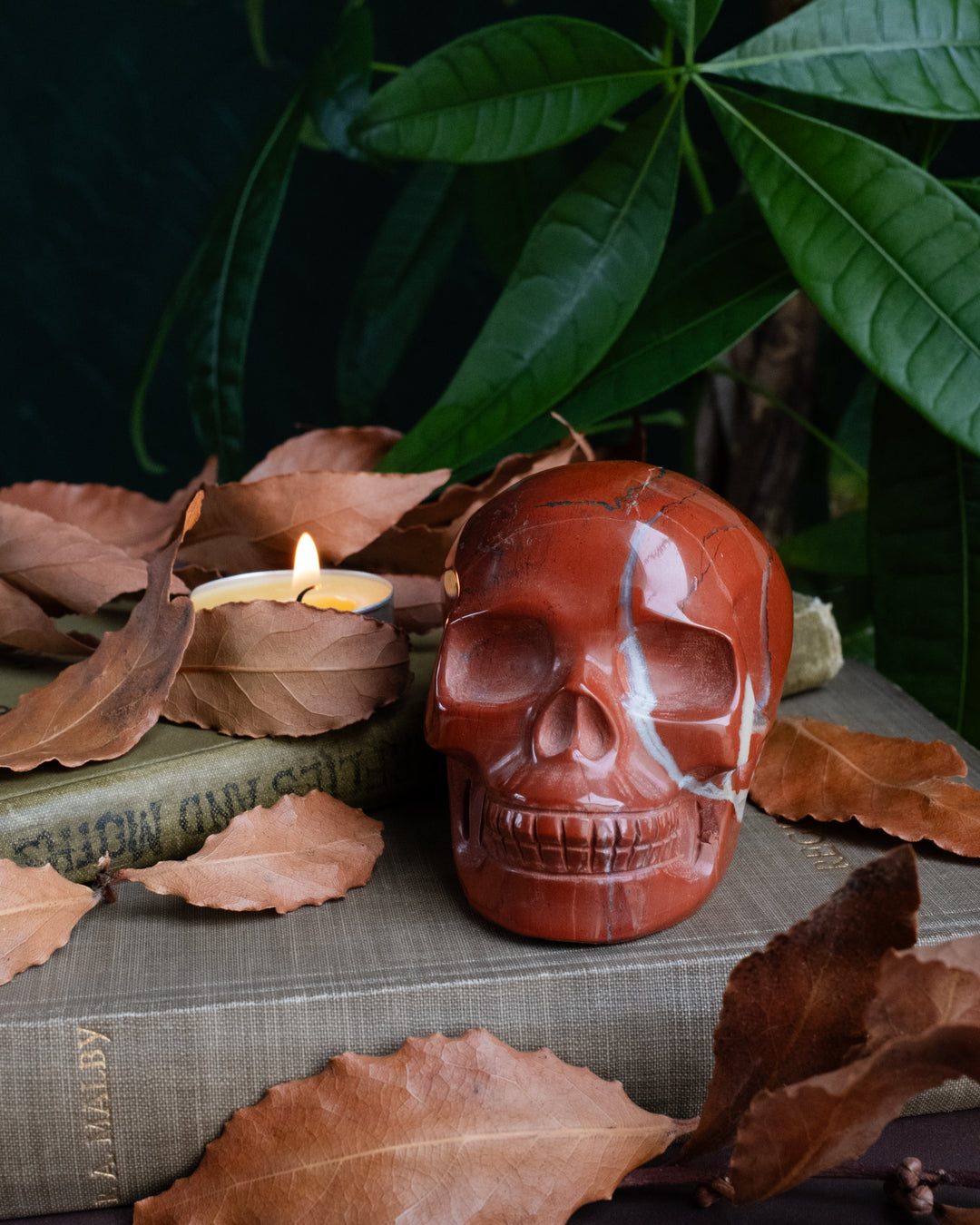 Red Jasper Ornamental Hand Carved Skull 417g - The Healing Pear
