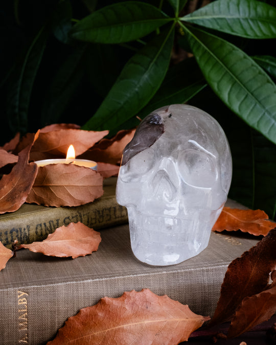 Clear Quartz Ornamental Hand Carved Skull with Rainbow 517g - The Healing Pear