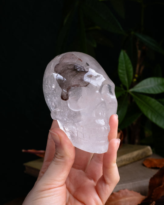 Clear Quartz Ornamental Hand Carved Skull with Rainbow 517g - The Healing Pear