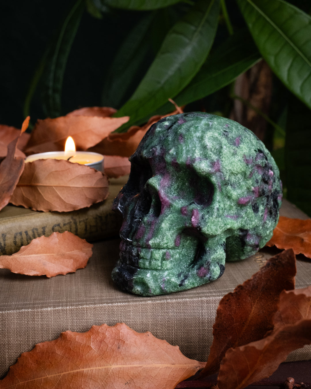 Ruby in Zoisite Ornamental Hand Carved Skull 475g - The Healing Pear