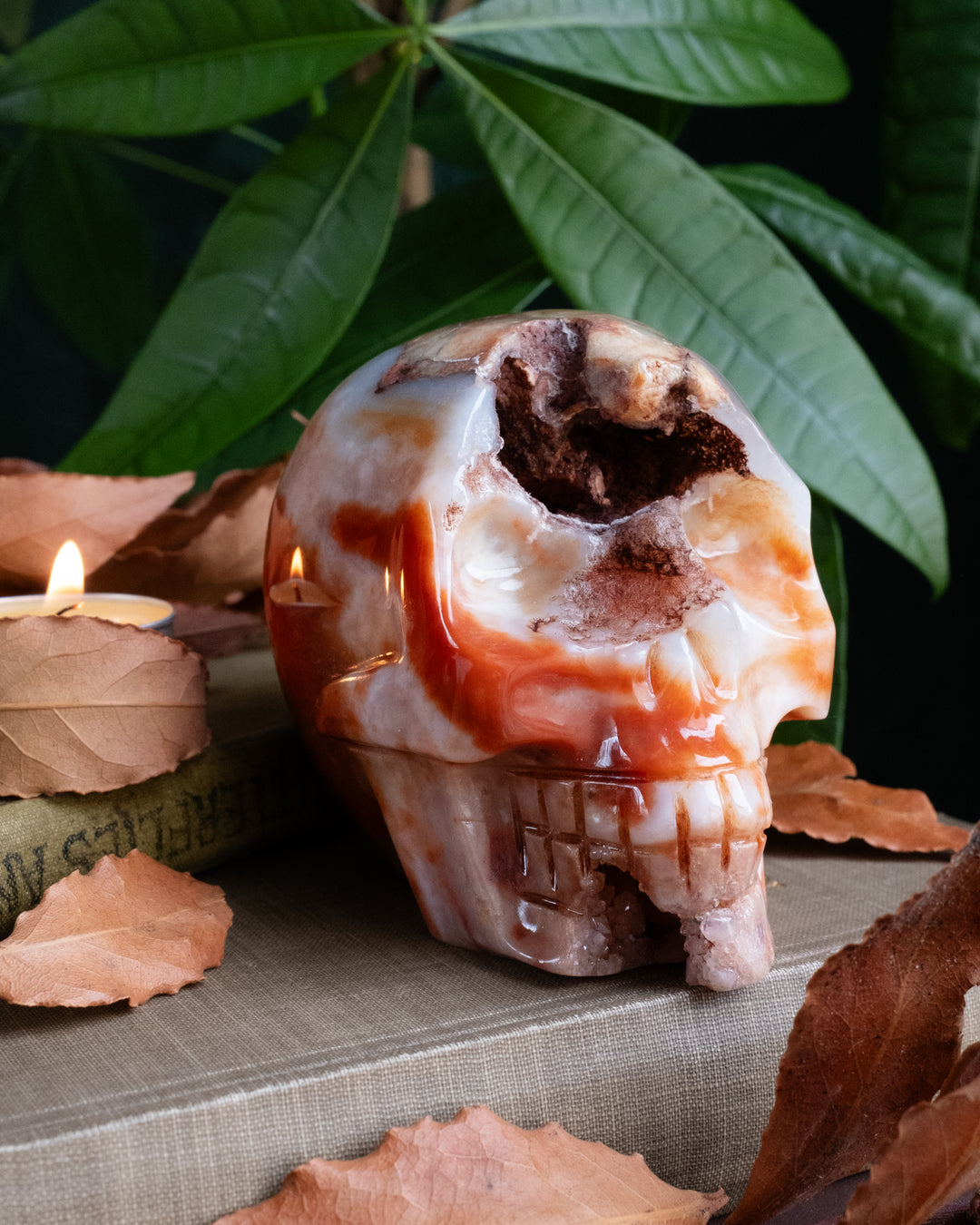 Carnelian Druzy Ornamental Hand Carved Skull 605g - The Healing Pear