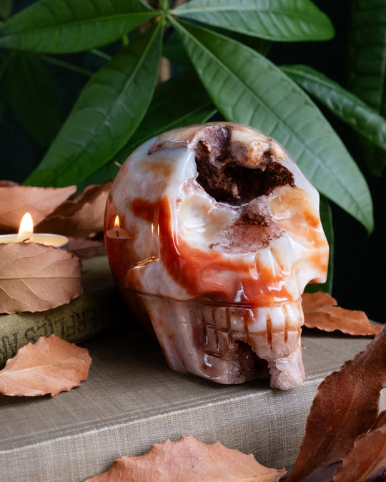 Carnelian Druzy Ornamental Hand Carved Skull 605g - The Healing Pear