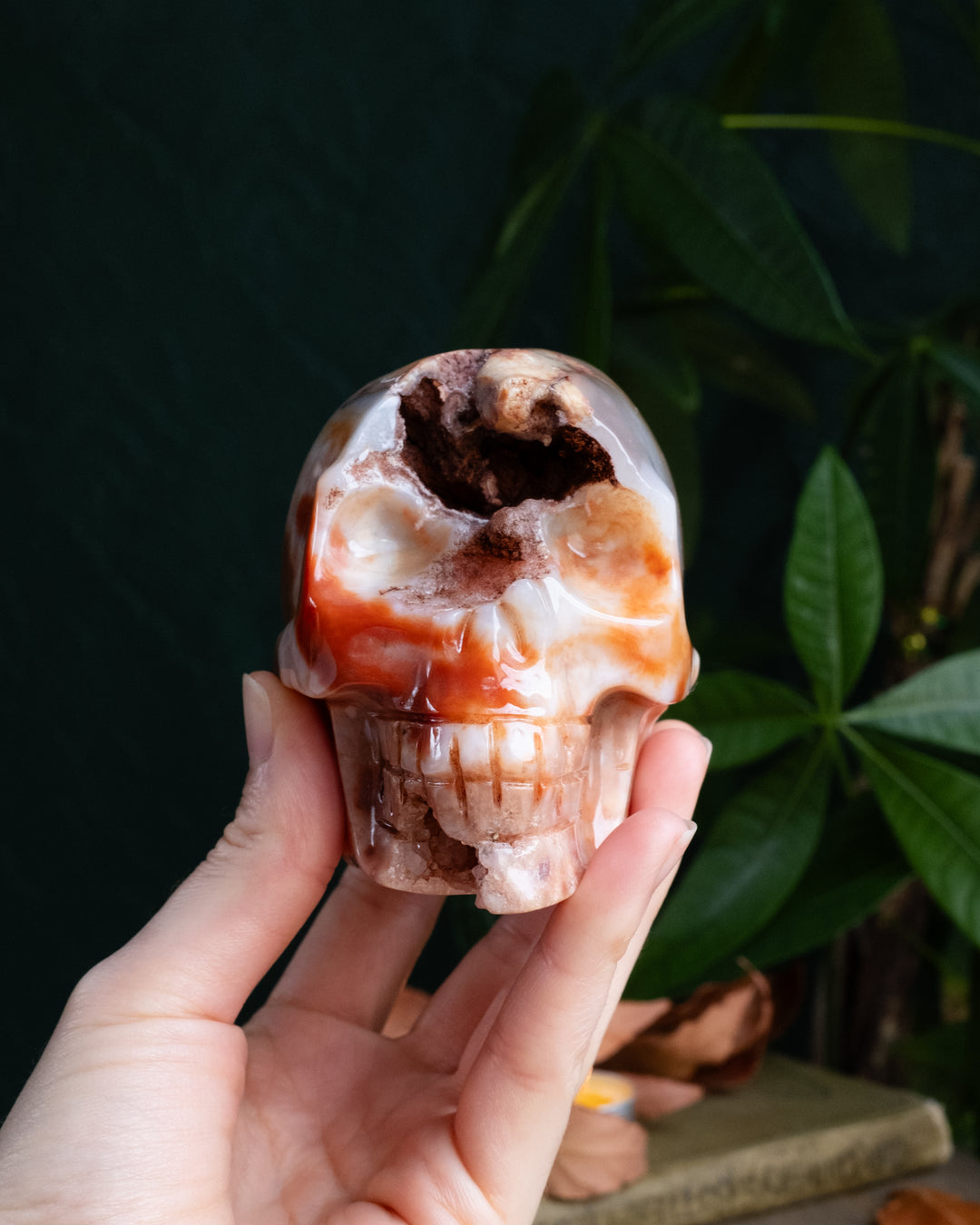 Carnelian Druzy Ornamental Hand Carved Skull 605g - The Healing Pear