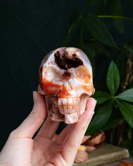 Carnelian Druzy Ornamental Hand Carved Skull 605g - The Healing Pear