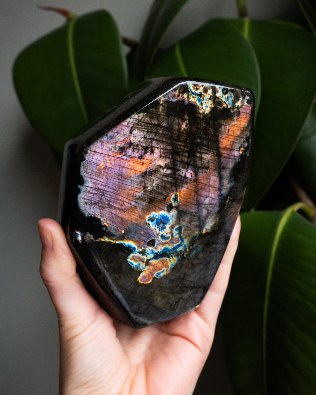 Labradorite Polished Freeform High Flash Specimen 1236g - The Healing Pear