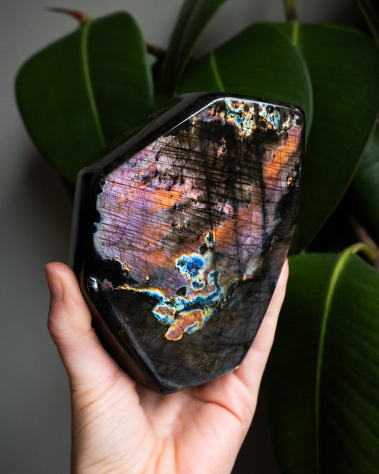 Labradorite Polished Freeform High Flash Specimen 1236g - The Healing Pear