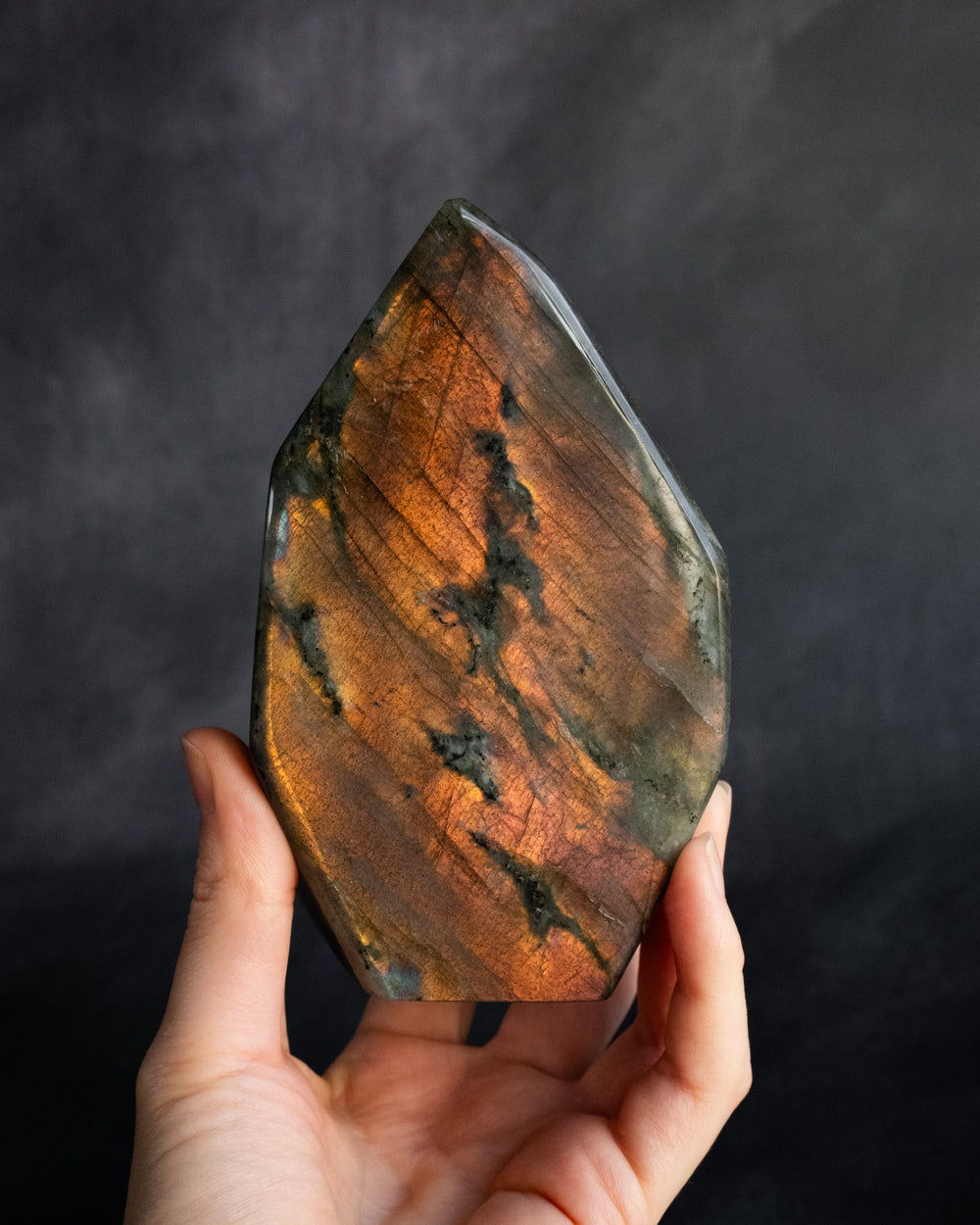 Labradorite Polished Freeform High Flash Specimen 854g - The Healing Pear