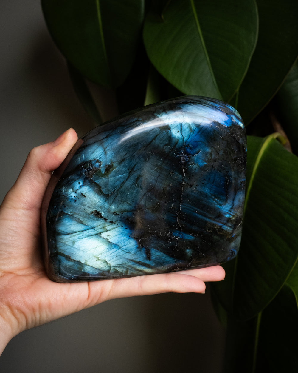 Labradorite Polished Freeform High Flash Specimen 1253g - The Healing Pear