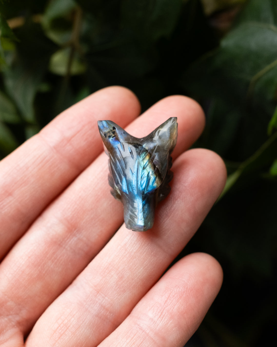 Small Labradorite Hand Carved Wolf Necklace - The Healing Pear
