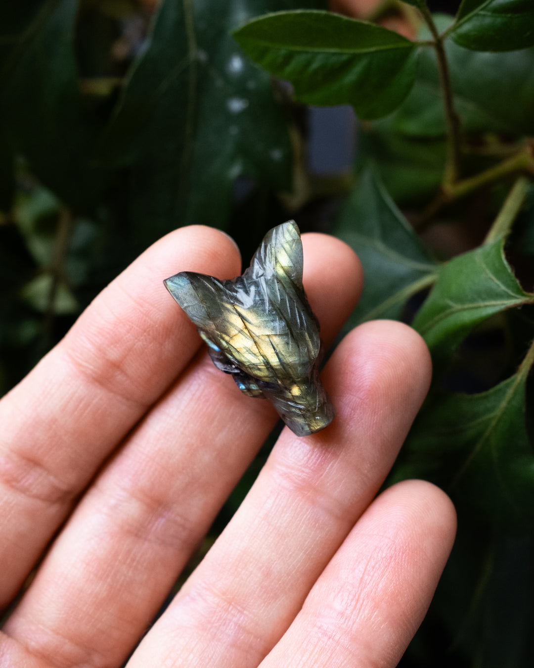 Small Labradorite Hand Carved Wolf Necklace - The Healing Pear