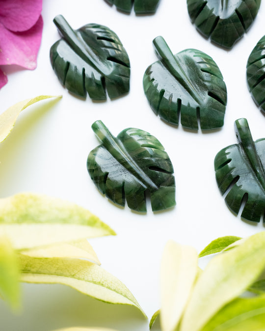 African Jade Hand Carved Monstera Leaf / Cheese Plant Necklace