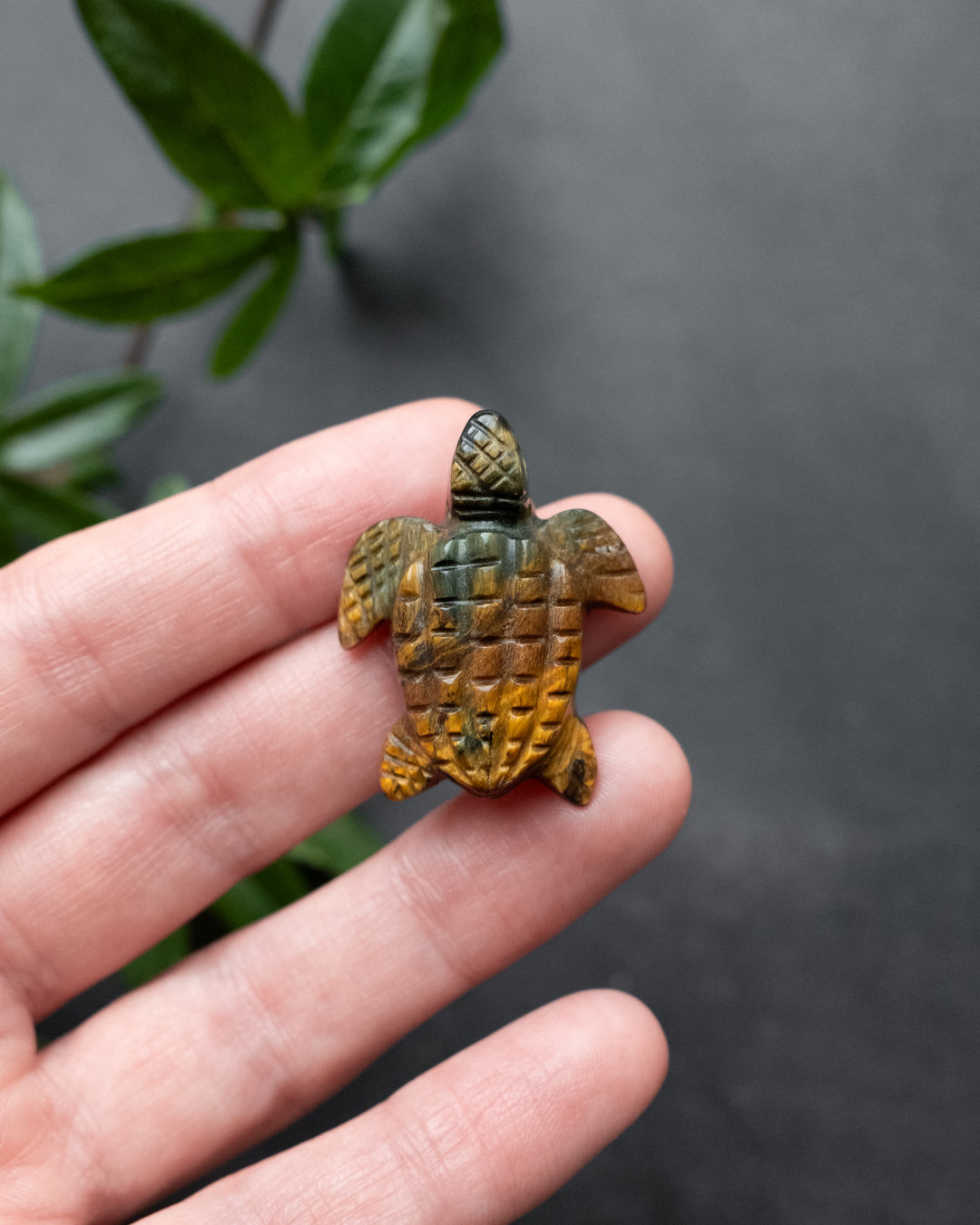 Small Tiger&
