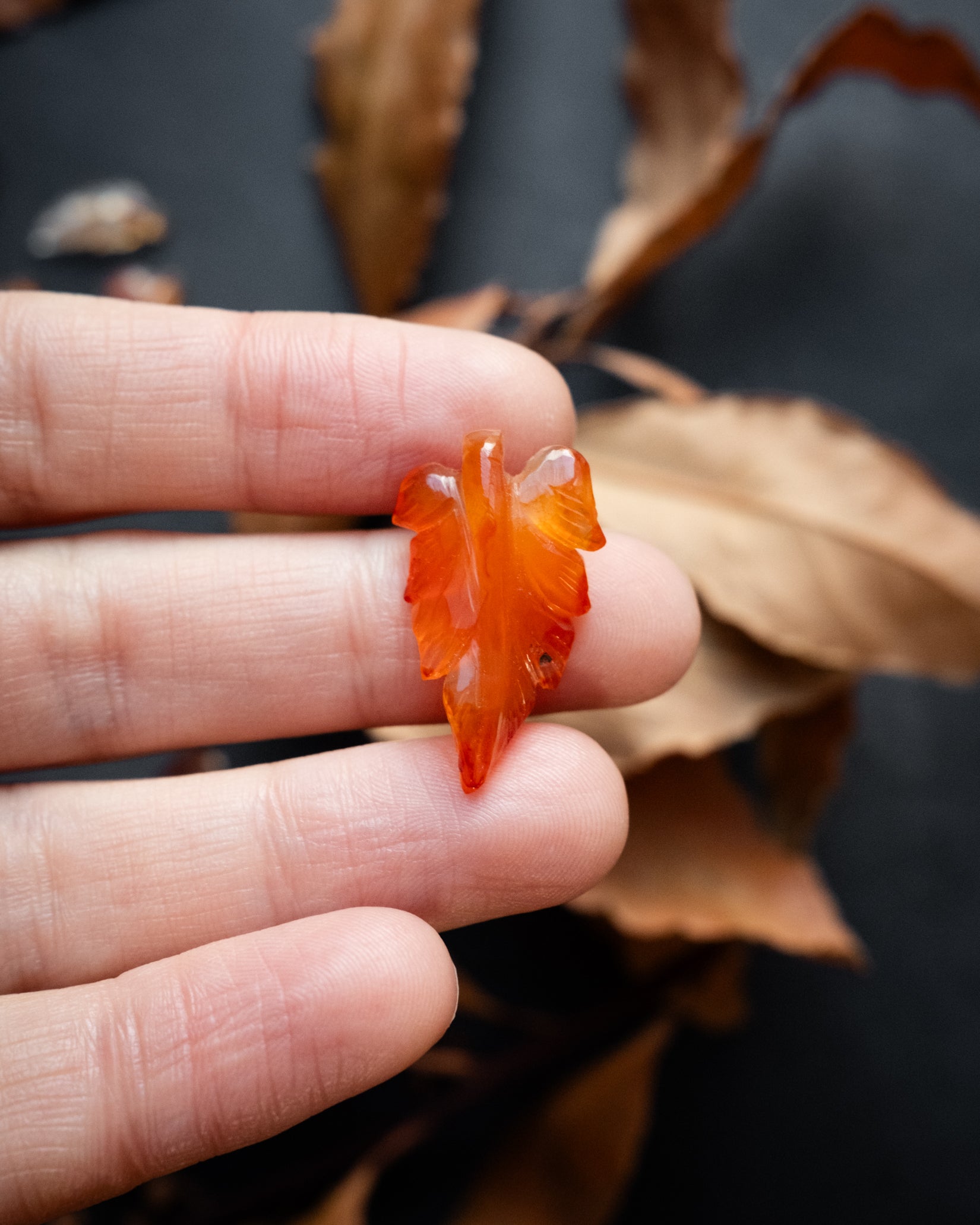 Carnelian Hand Carved Vegan Silk Leaf Necklace – The Healing Pear