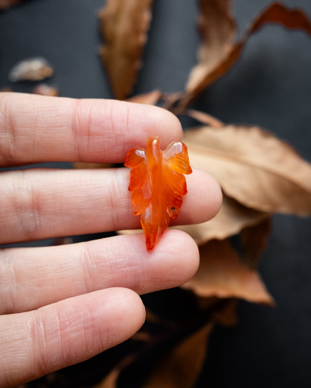 Carnelian Hand Carved Vegan Silk Leaf Necklace
