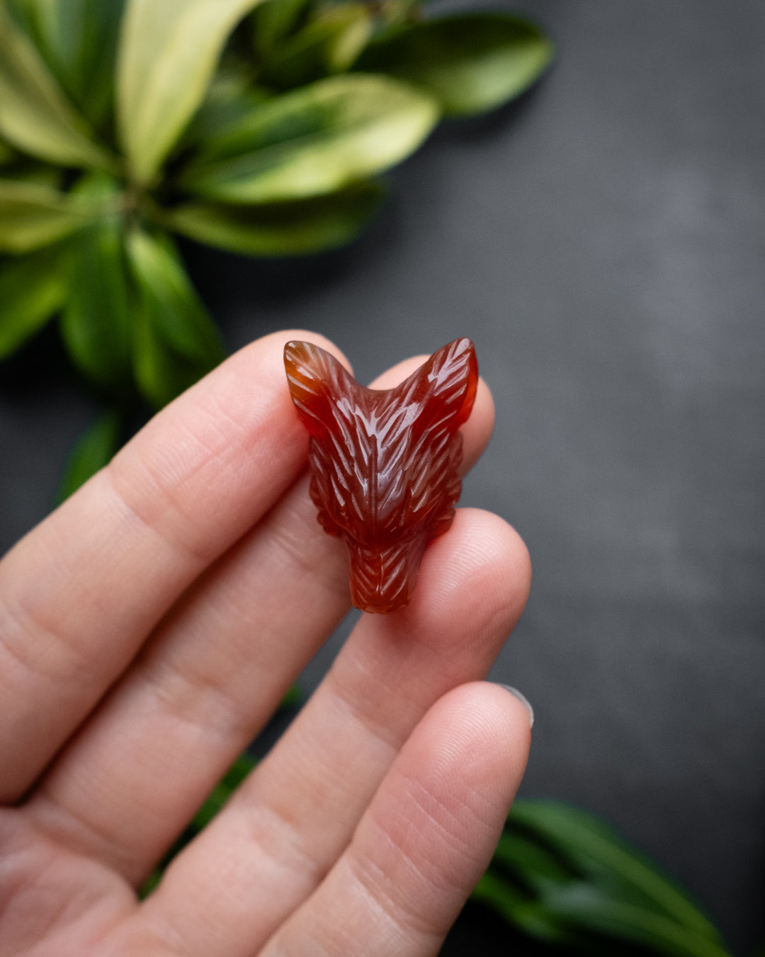 Small Carnelian Hand Carved Wolf Necklace