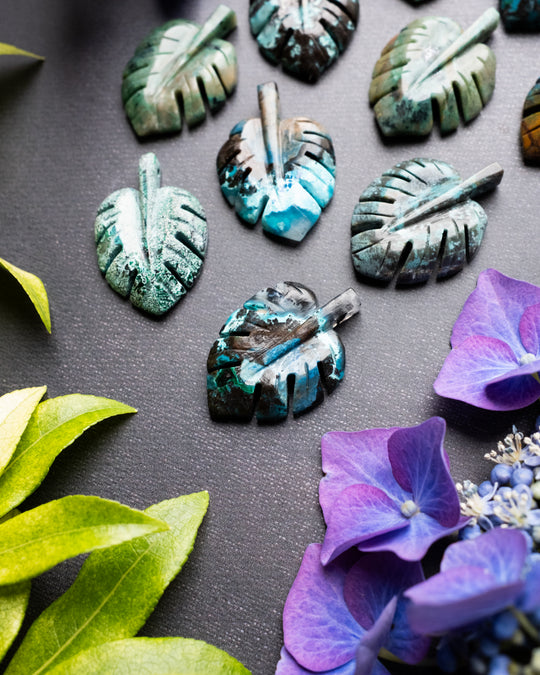 Rainbow Chrysocolla Hand Carved Monstera Leaf / Cheese Plant Necklace