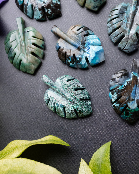 Rainbow Chrysocolla Hand Carved Monstera Leaf / Cheese Plant Necklace