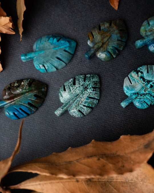 Rainbow Chrysocolla Hand Carved Monstera Leaf / Cheese Plant Necklace