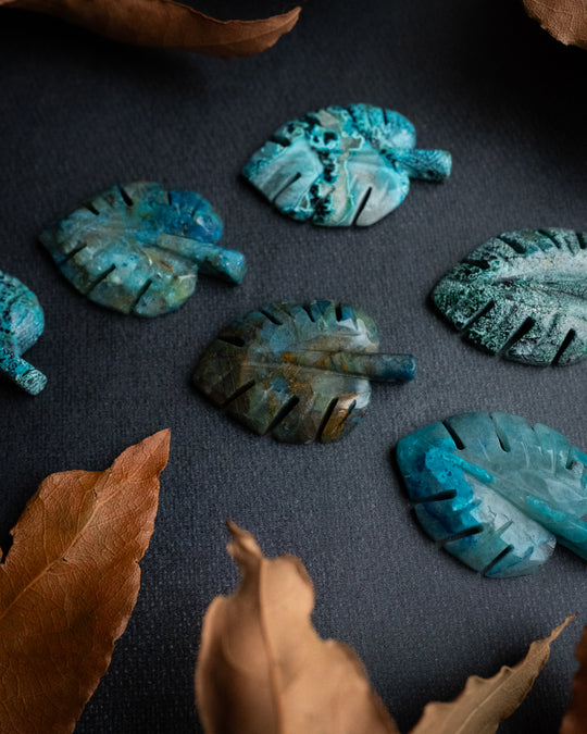 Rainbow Chrysocolla Hand Carved Monstera Leaf / Cheese Plant Necklace