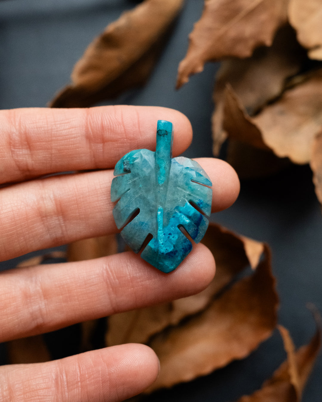 Rainbow Chrysocolla Hand Carved Monstera Leaf / Cheese Plant Necklace