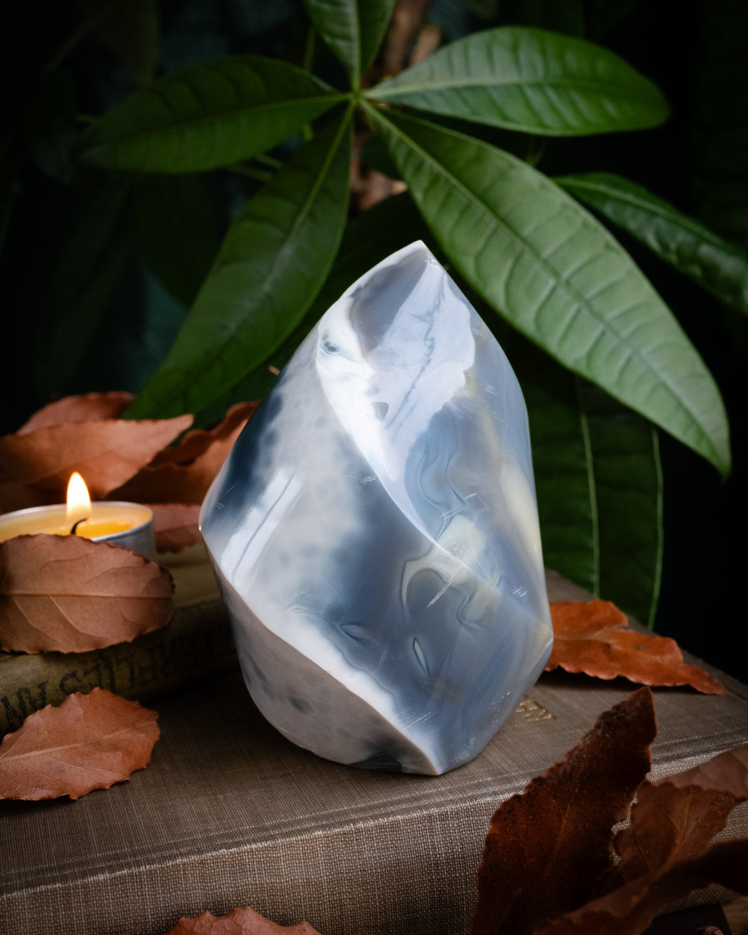 Orca Agate Carved Flame 375g - The Healing Pear